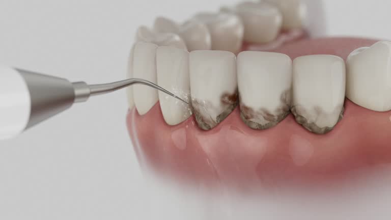 Reliable Dental contractor in Lexington Park, MD by Dentist Open Now